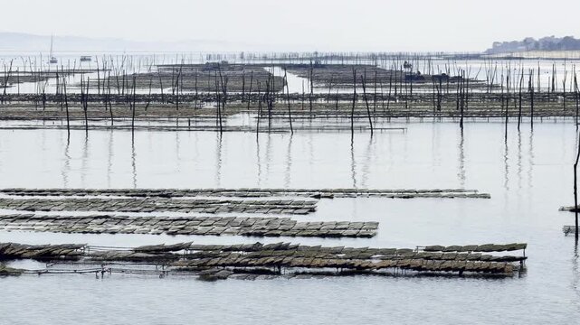 Expansive view of oyster beds at low tide in Arcachon Basin near Cap Ferret, showing organized rows of racks across a major shellfish production landscape in southwest France
