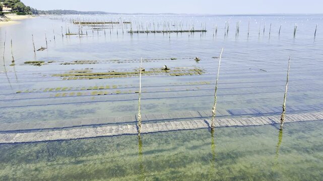 Mid level perspective above oyster beds at low tide in Arcachon Basin near Cap Ferret, highlighting aligned racks and traditional shellfish cultivation within a coastal farming landscape