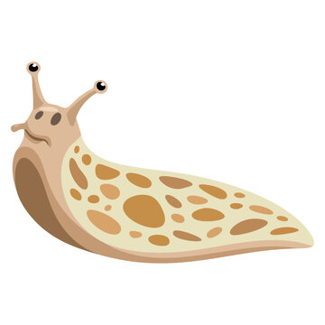 White background slug flat vector illustration, clean and simple wildlife design ideal for nature education and outdoor themed visuals