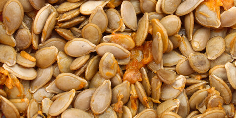 Fototapeta premium Background texture of nutrient rich raw pumpkin seeds, ready to be dried or roasted