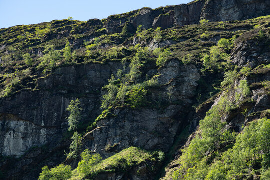 rock in the mountains