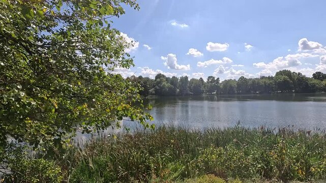 Footage of a gorgeous landscape at FDR Park in Philadelphia Pennsylvania USA