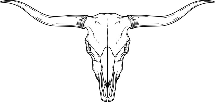 Detailed linework longhorn steer skull western americana rustic animal skull art vector

