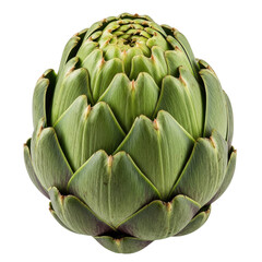 Fototapeta premium Fresh artichoke isolated on white background