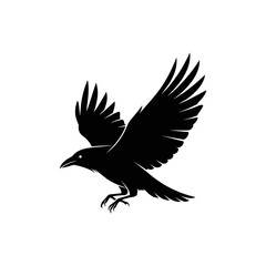 Fototapeta premium Black bird in flight motion wings.