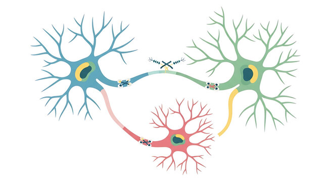 A colorful vector graphic illustration of neurons communicating with each other