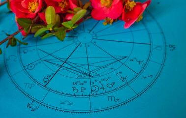 Close up of printed blue astrology chart ,  pink spring flowers in the background © Blazenka