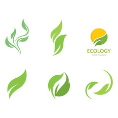 Fototapeta premium EcoLeaf Natural. Sustainable Growth and Green Living Solutions