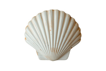 Fototapeta premium Scallop shell displaying its characteristic fan shape and ribbed surface, a natural oceanic souvenir
