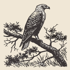 Fototapeta premium A majestic raptor with sharp beak and powerful wings perched on a wild tree branch in nature, showcasing its brown feathers as a predator in the wildlife fauna