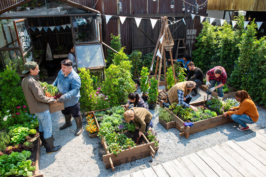 Community garden with diverse gardeners.