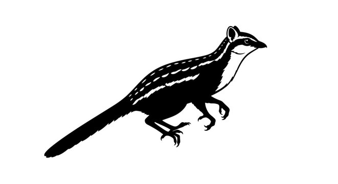 Striking black and white illustration of a bilby animal on a clean white backdrop