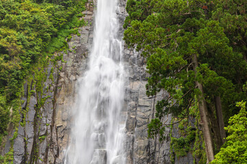 Obraz premium 世界遺産 熊野古道 那智の滝