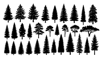 Fototapeta premium Monochrome Vintage Forest Tree Silhouettes Set with Pine and Spruce Nature Elements