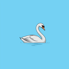 Fototapeta premium White Swan Swimming in Water.