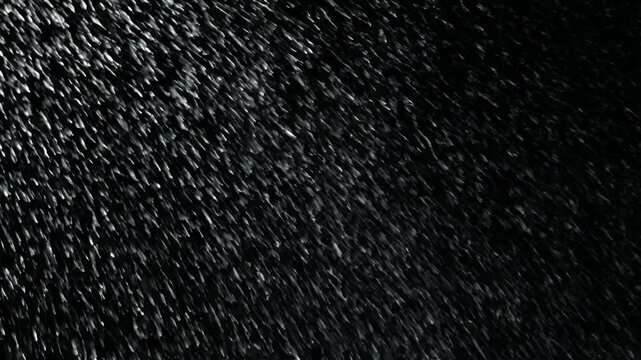 A dark, textured background of many small, elongated, light-colored shapes