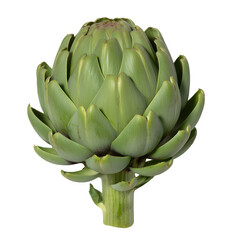 Obraz premium Fresh green artichoke with detailed leaves isolated on transparent background