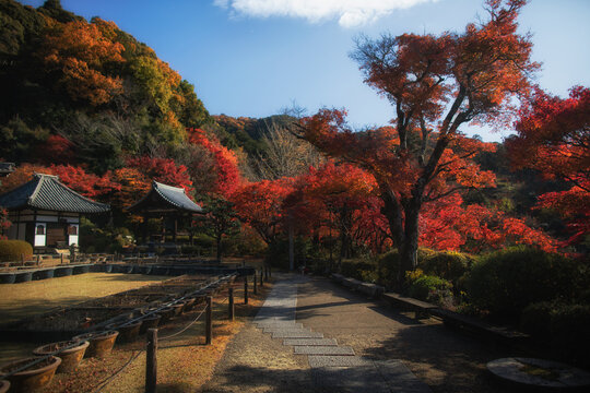 Autumn at Mimurotoji Temple in Uji City, Kyoto, Japan