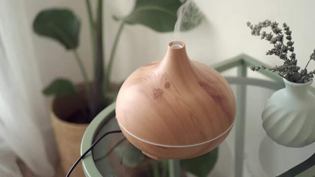 Aromatherapy essential oil diffuser misting gently beside a vase with dried flowers and potted plant