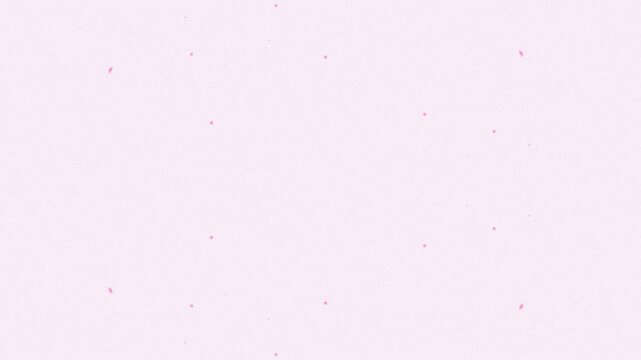 Abstract Light Particles Falling Against Light Pink Background