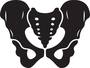 Naklejka premium Human Skeleton Bones Silhouette Vector, Anatomy Skull Spine Rib Cage SVG
