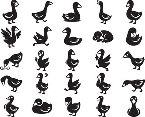 Obraz premium 25 Unique Black Goose and Duck Icons with Varied Poses.