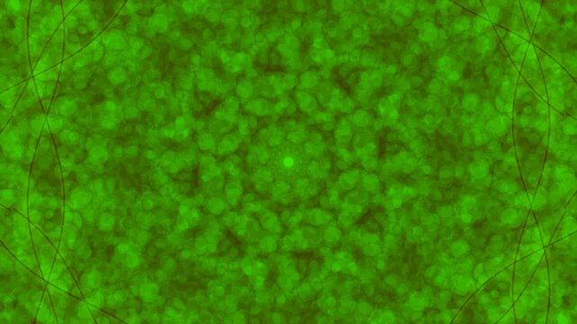 Abstract Green and Red Microbial Texture for Scientific or Artistic Use