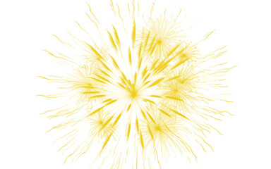 Obraz premium Golden firework explosion illustration, yellow starburst light effect on white background, festive sparkler burst for celebration and holiday design