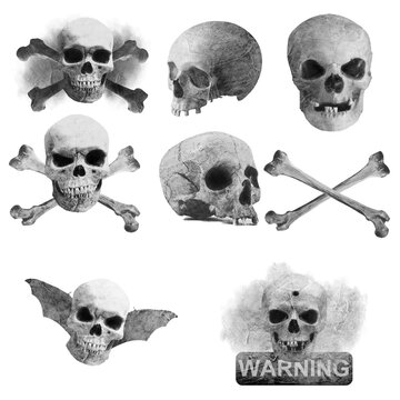 Mod&egrave;les de cr&acirc;nes noir sur fond blanc.