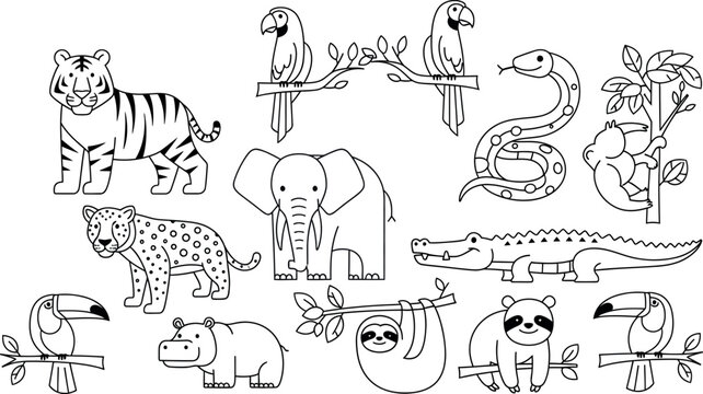 A collection of hand drawn illustrations of various wild animals in a single composition