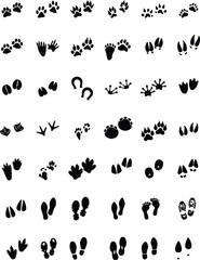 Obraz premium Animal Tracks Footprints Guide Vector Set