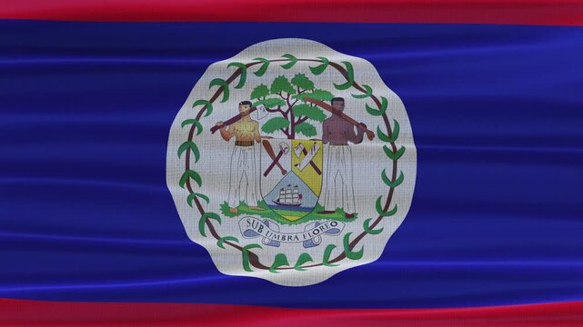 Belize flag waving in the wind with high quality fabric texture
