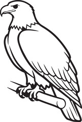 Obraz premium Eagle, Bird, Wildlife, Illustration, Vector isolated on Transparent Background