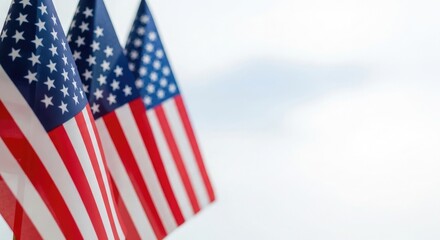 Fototapeta premium Memorial day tribute with american flags waving