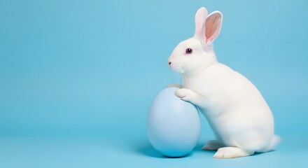 Obraz premium White easter bunny with blue egg on light blue background