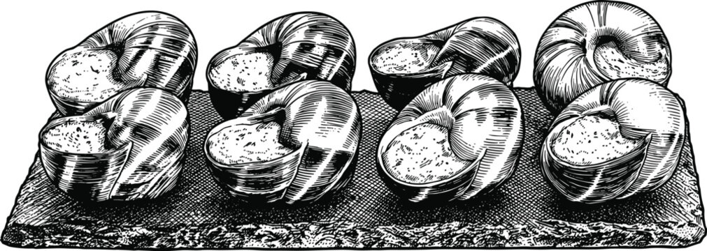 Cooked escargots in shells black and white illustration