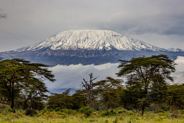 Kilimanjaro © Andrew