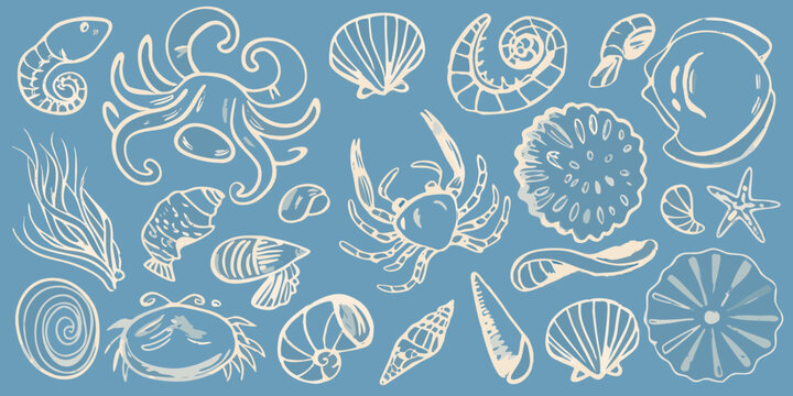 A collection of hand drawn marine life and seashells on blue background