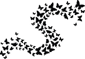 Obraz premium A flock of butterflies flying in a curved formation resembling a number