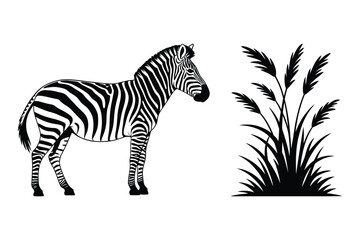 Fototapeta premium Zebra and tall grass silhouette