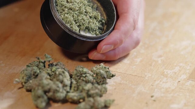 Close up view of freshly ground cannabis inside metal grinder with buds on wooden table.