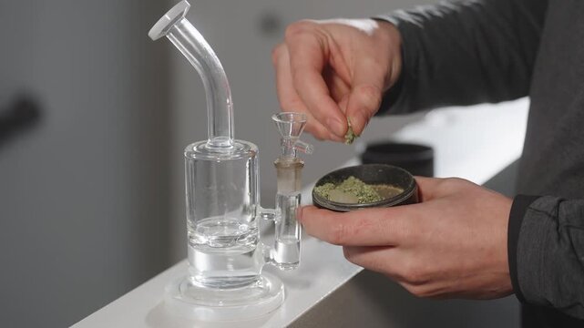 Hands holding cannabis grinder and glass bong while preparing cannabis for smoking.