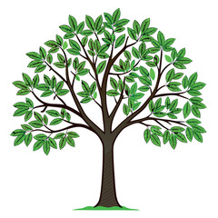 Obraz premium Fig tree illustration vector design 