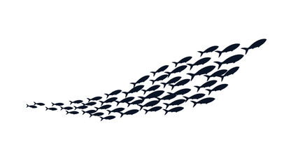 Fototapeta premium Large school of small fish swimming together in a coordinated group formation representing unity and collective movement in an aquatic environment.