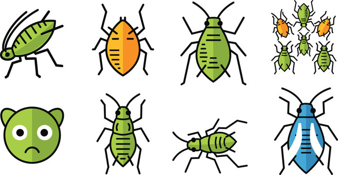 Aphids and Garden Pest Insect Icon Set with Green Bugs, Plant Parasites, Colony Infestation and Agriculture Illustration Collection