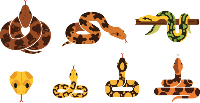 Snake and Reptile Cartoon Icon Set with Python, Cobra, Viper and Colorful Wildlife Serpent Illustration Collection