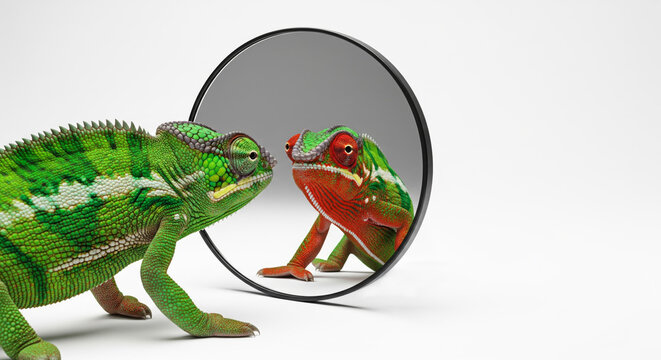 Transformation and Identity Concept, Chameleon Seeing Altered Self in Mirror