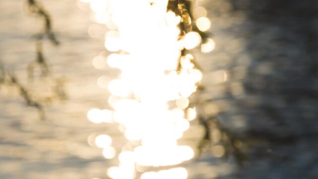 River Afternoon Bokeh Sunshine Slow Motion 4k