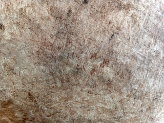Fototapeta premium Weathered Wood Grain Texture Background. Close Up of Textured Wood Surface.