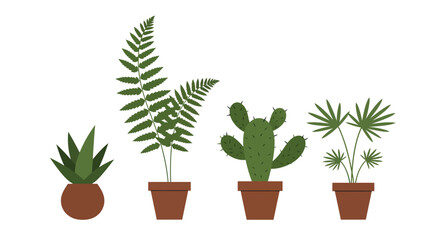 Obraz premium Collection of Potted Houseplants Including Fern Cactus and Aloe Vera.